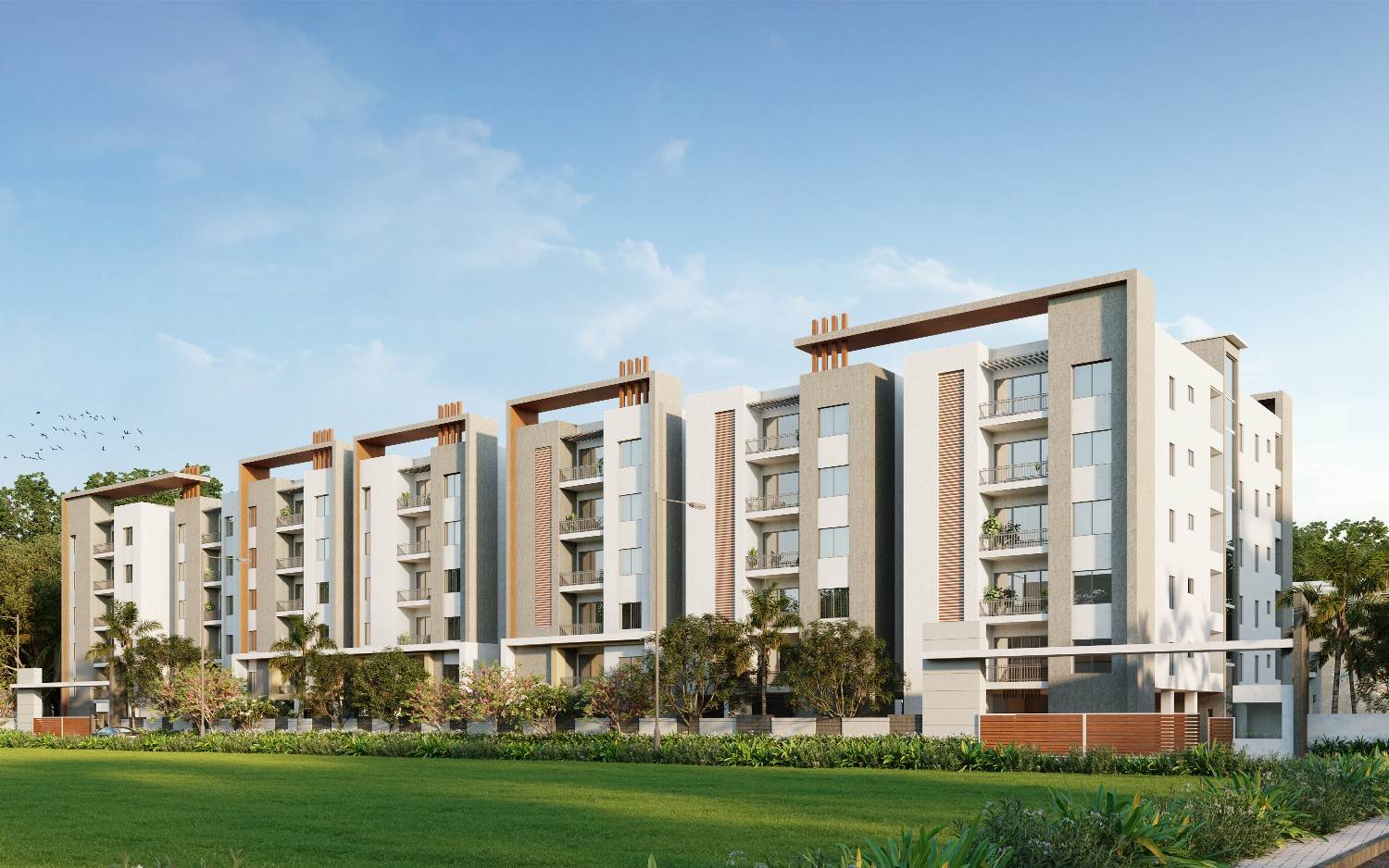 Doyen Ascent – Ibis