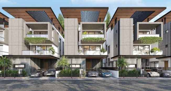 home_image_avya