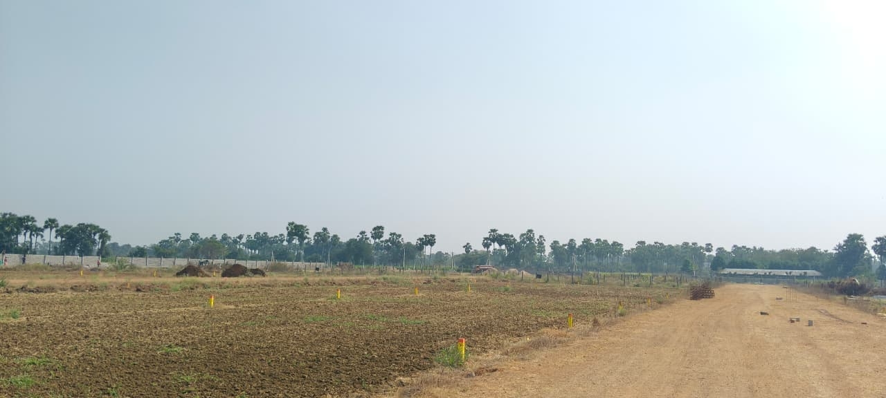 Palm Meadows, Guntur