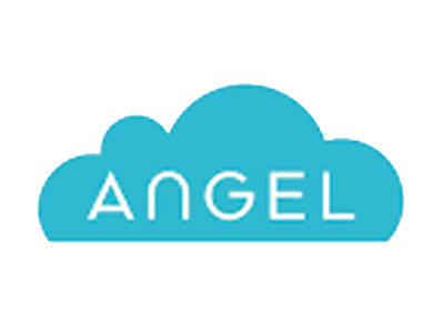 Angel Infra Build