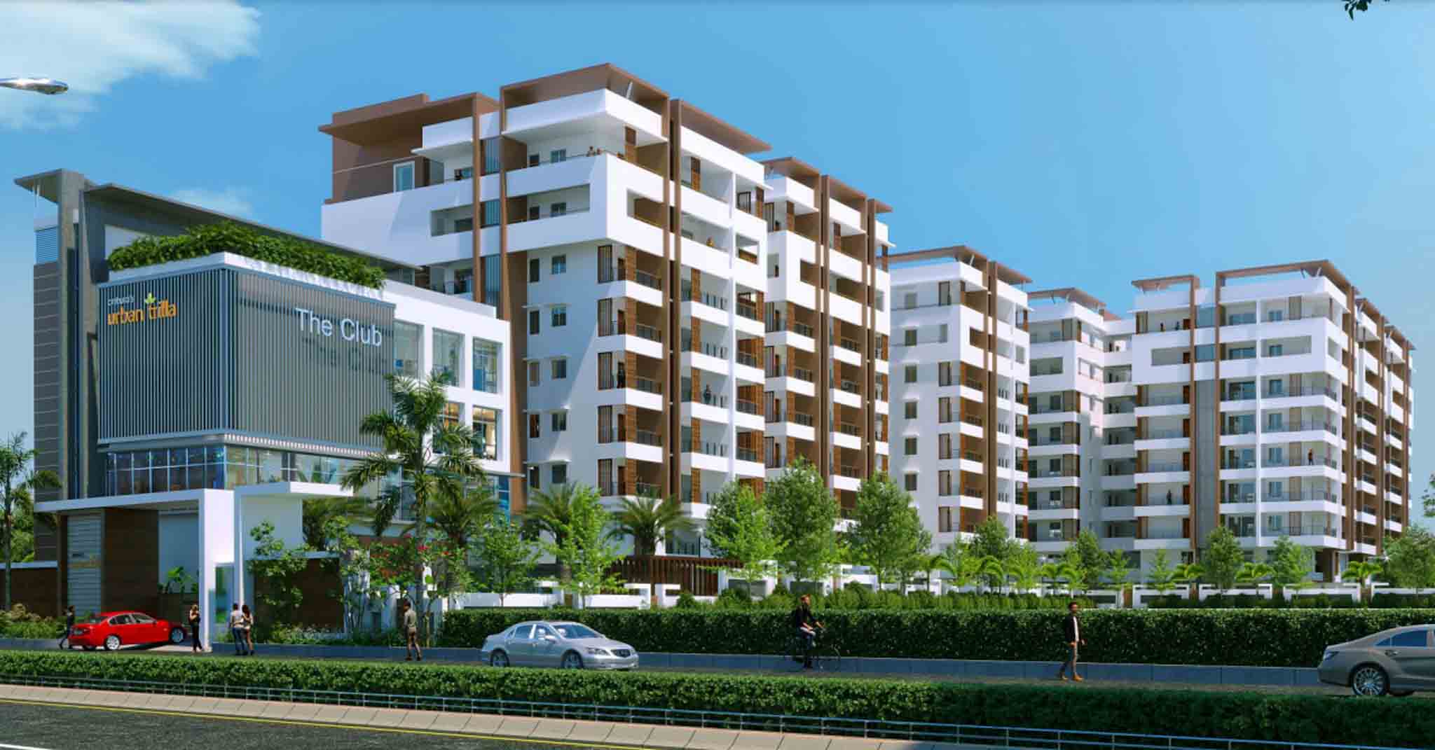 Ankura Urban Trilla