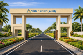 Elite Future County
