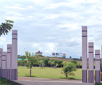 Fortune Butterfly City